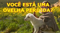 Examine-se para ver se você não é uma ovelha perdida.